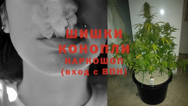 СК Осинники