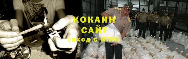 индика Осташков
