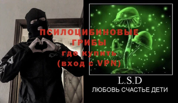 индика Осташков
