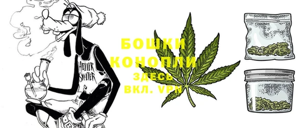 индика Осташков