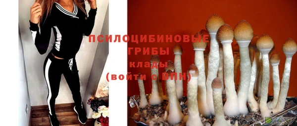 СК Осинники