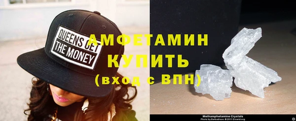 индика Осташков