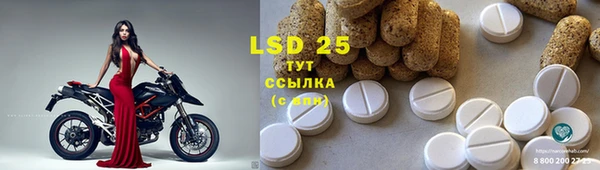 индика Осташков