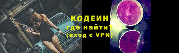индика Осташков