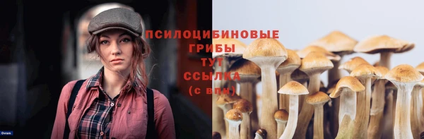 индика Осташков
