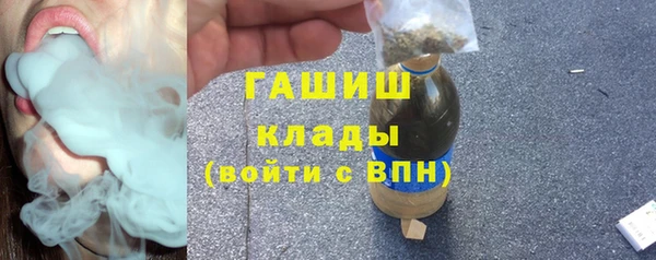 индика Осташков