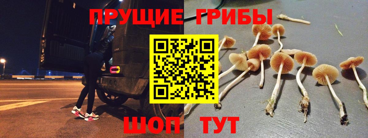 Балабаново  как найти наркотики  Вход с VPN  Псилоцибиновые грибы Psilocybe 