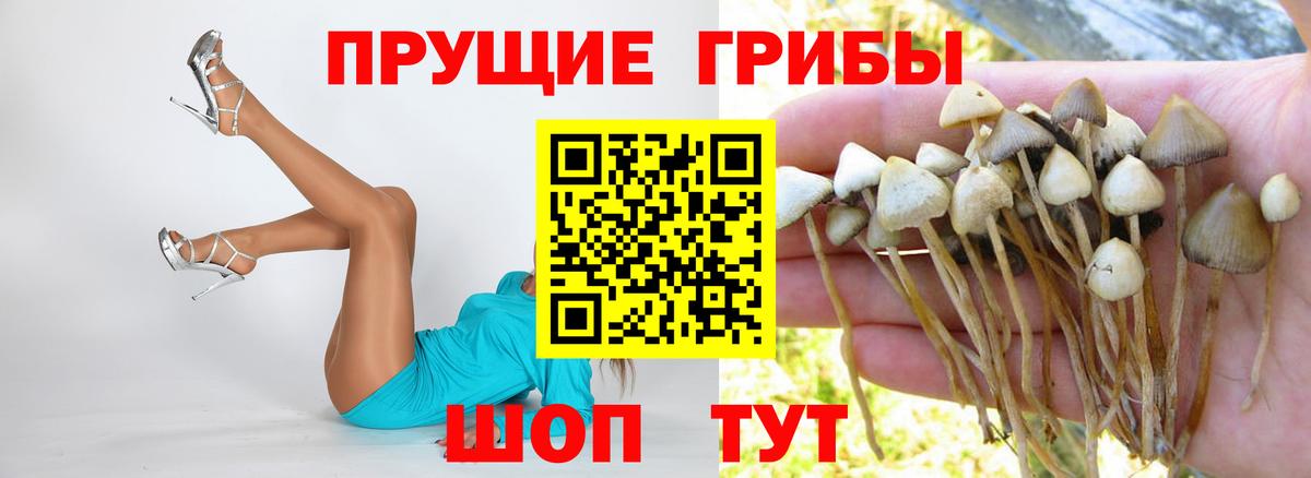 Псилоцибиновые грибы Magic Shrooms Балабаново